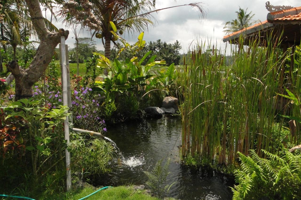Bali Sawah Indah Hotel Ubud  Exterior photo