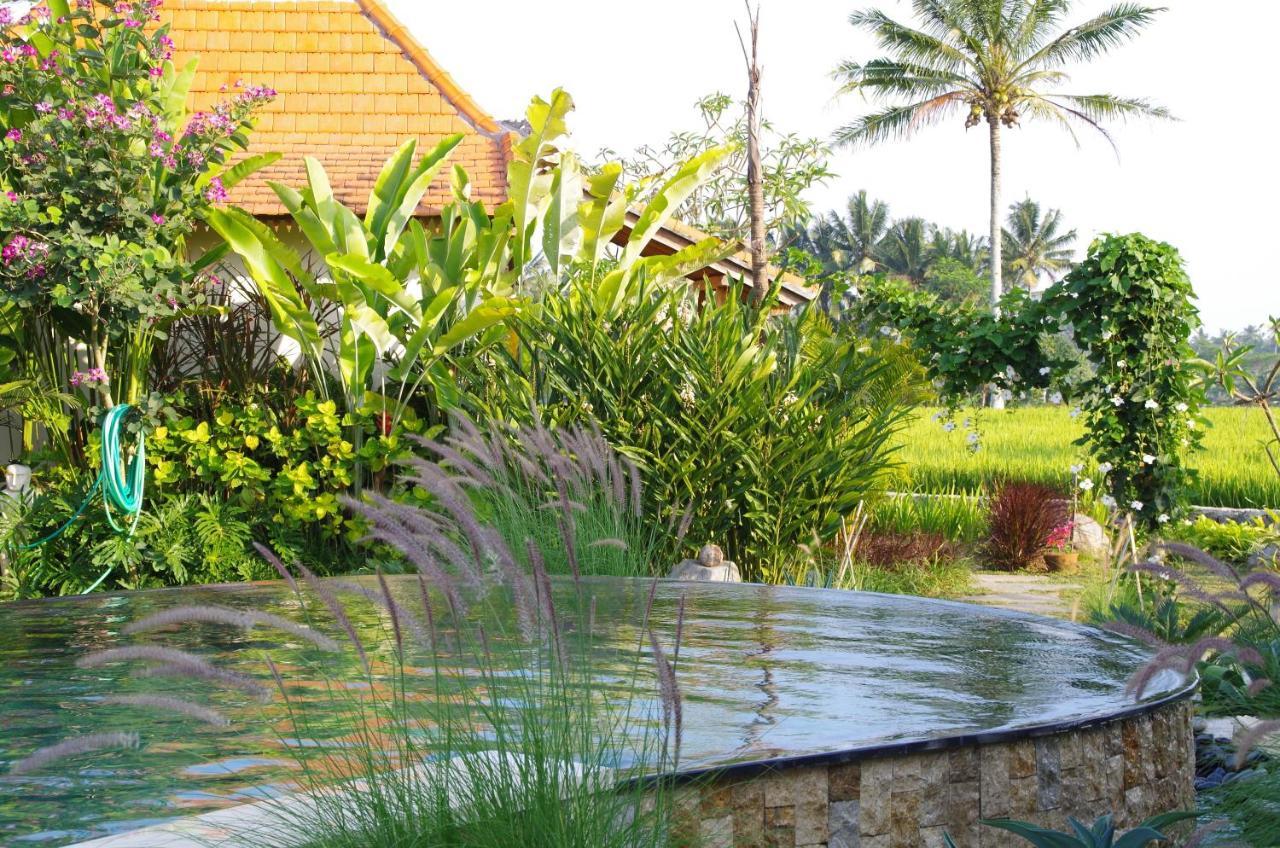 Bali Sawah Indah Hotel Ubud  Exterior photo