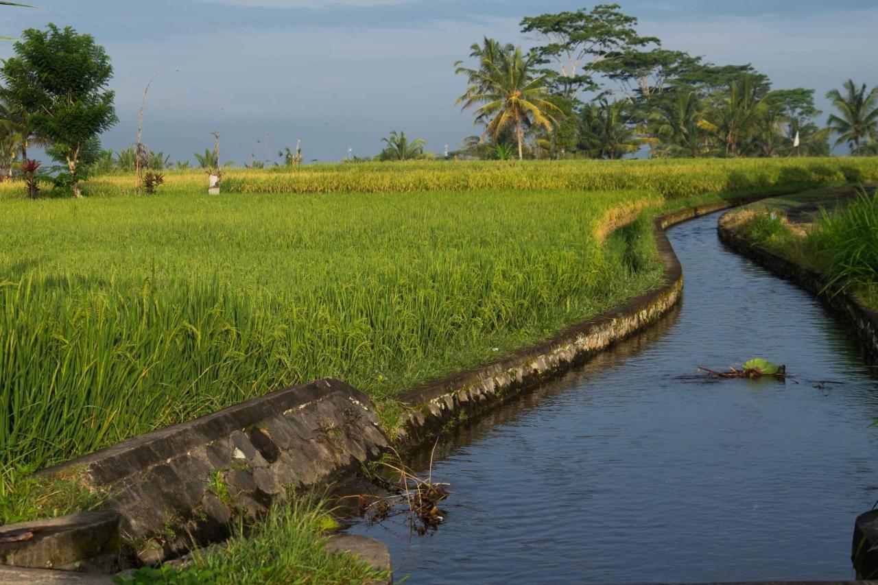 Bali Sawah Indah Hotel Ubud  Exterior photo